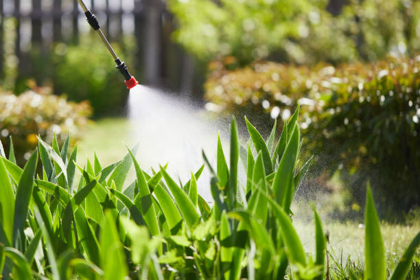 24/7 Emergency Mosquito Control experts in Saratoga Springs, UT