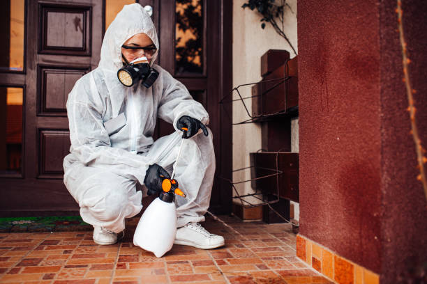 Reliable Mosquito Control contractor in Saratoga Springs, UT by Show Me Pest Control